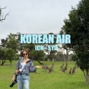 콜스낵 | 대한항공 인천 시드니 항공권 KE401 특별 기내식 저열량식 기내 와이파이 후기