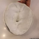 공간A여자경로당 | 약손명가 왕십리점 K뷰티 연예인관리 A, 20회 받고 윤곽 달라진 리얼 후기(내돈내산)