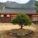 얼음골한옥민박 이미지