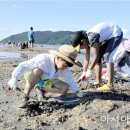 사구어촌체험마을(송지면 사구마을) 이미지