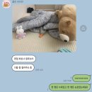 팔복흑염소 | 5월 일상