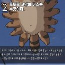 토토로헤어 - 창원시 의창구 용잠로35번길 2 | 토토로헤어