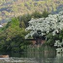삼학쉼터