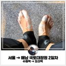 정약국 | 족저근막염 국토대장정 리얼 후기!! (2일차: 수원역 → 오산역)(Feat. 준비물, 비용, 기간, 거리, 시간)