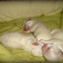 고은햇살 이미지