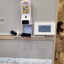 슈필렌음악학원 이미지