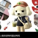 피아노 노래연습장 | 2025년 10월 월간 회고록(직무전환 취뽀 성공, 소비 방어)