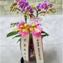 건원대로34번길 이미지