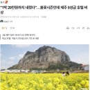 &#34;1박 20만원까지 내렸다&#34;…봄꽃시즌인데 제주 5성급 호텔 비상 이미지