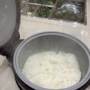 남사고기 이미지