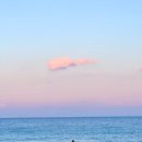 바다노선 이미지