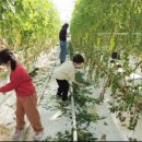 김정기농장 이미지