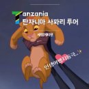 [탄자니아 여행] 사파리 투어 세렝게티 후기 / safari360 / 2월 날씨 / 숙소 추천