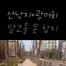 김영플러스강남캠퍼스
