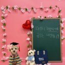 불독휘트니스 | 매탄 권선 수원 애견유치원 3월 포토존 후기 : 강아지 벚꽃 입학식