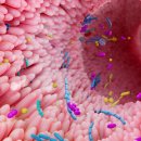 달이어린이집 이미지