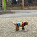 또쿠호카 (2)