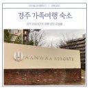 모던호텔 | 경주 가족여행 숙소 / 경주 한화리조트 담톤 모던 호텔룸 아이와 투숙 후기