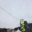 구암동589 | 대전 유성 구암동 로컬푸드 파머스마켓 장보기｜프리지아·봄동 사고 집에 봄 들이기