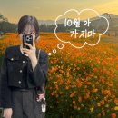 승수농장 | 10월 아 가지마