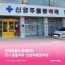 신양주종로약국 이미지