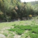 포항시북구92 이미지