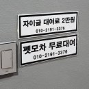 경포몽애견펜션 이미지