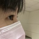 서울대입구역 ✨ 더셀뷰티 ✨ - 속눈썹 연장 (JC컬, 벨벳, 11-9mm) 후기 👀✨