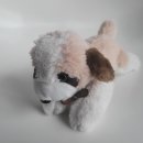 장성양계장 이미지