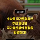 [공동논평]소싸움 국가무형유산 추진 중단한 국가유산청의 결정을 환영한다! 이미지