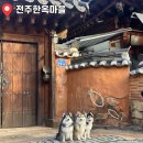 가마을길 | [전주 누래블(travel)] 살면서 처음가본 한옥마을 후기랄까요..?