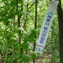 세종주유소 이미지