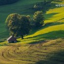 바우바우애견펜션 이미지