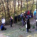 초촌리 고분군 이미지