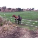 행여나목장 이미지