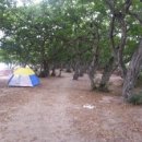 십리포 관광안내소 이미지