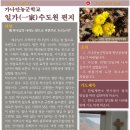 샬롬 이미지