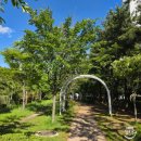 삼산유수지체육공원 이미지