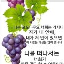 임마누엘 이미지