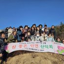 붓다보이차