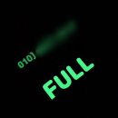 예쁜강아지 | 우리 강아지 저녁산책 안전지킴이, 가볍고 예쁜 강아지 인식표 솔직 후기 🐶