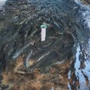 섬진강메기매운탕전문점 이미지