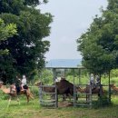 k-최강태권도 | ✨제주투어패스로 뽕뽑은 3박4일 아이랑 제주여행 코스추천