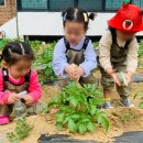 시고르하우스 이미지