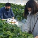 굿모닝농장 이미지