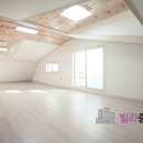 신사현대약국 이미지