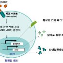 주식회사 렉스바이오 마이데일리