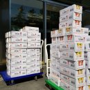 서초성모정형외과의원 이미지