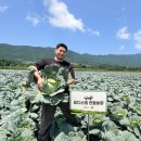 푸디스트