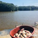 어둔저수지 이미지